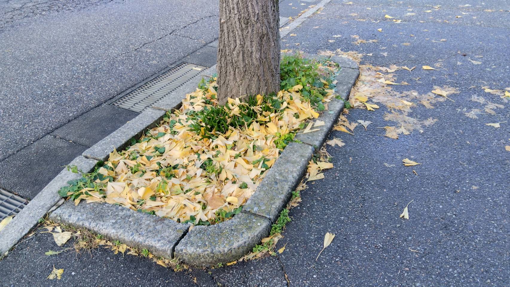 金沢のお香とアロマの香り専門店(石川県金沢市)・金沢観光地・金沢の観光スポット武家屋敷跡近く・人気でおすすめのお土産処-お香専門店のアロマ香房焚屋