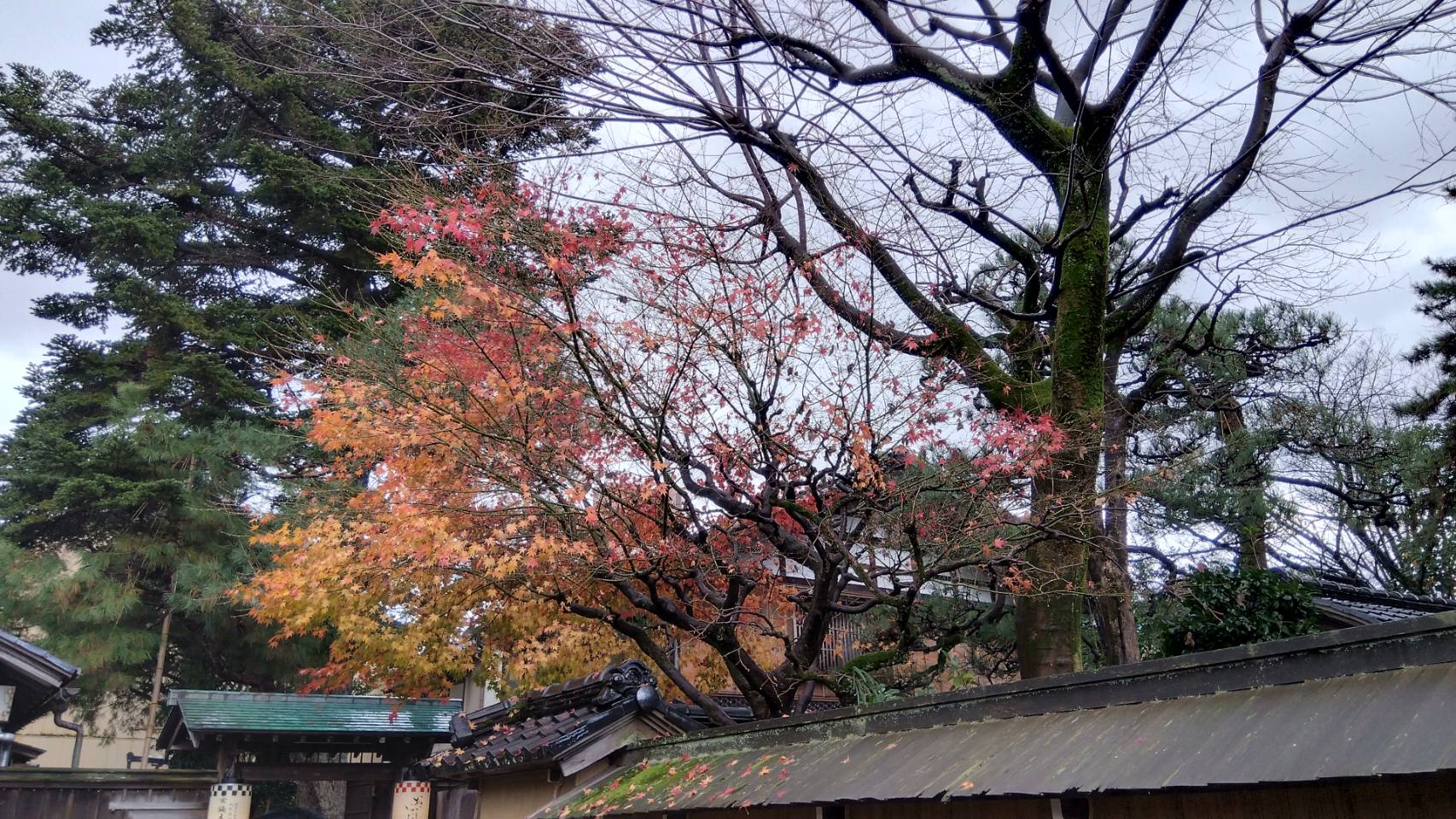 金沢のお香とアロマの香り専門店(石川県金沢市)・金沢観光地・金沢の観光スポット武家屋敷跡近く・人気でおすすめのお土産処-お香専門店のアロマ香房焚屋