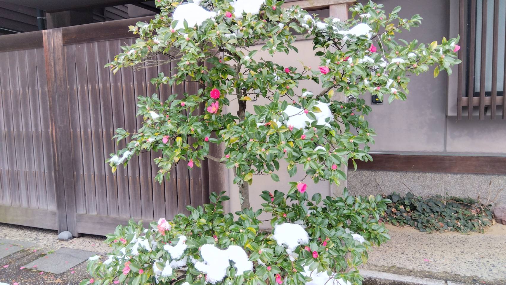 金沢のお香とアロマの香り専門店(石川県金沢市)・金沢観光地・金沢の観光スポット武家屋敷跡近く・人気でおすすめのお土産処-お香専門店のアロマ香房焚屋