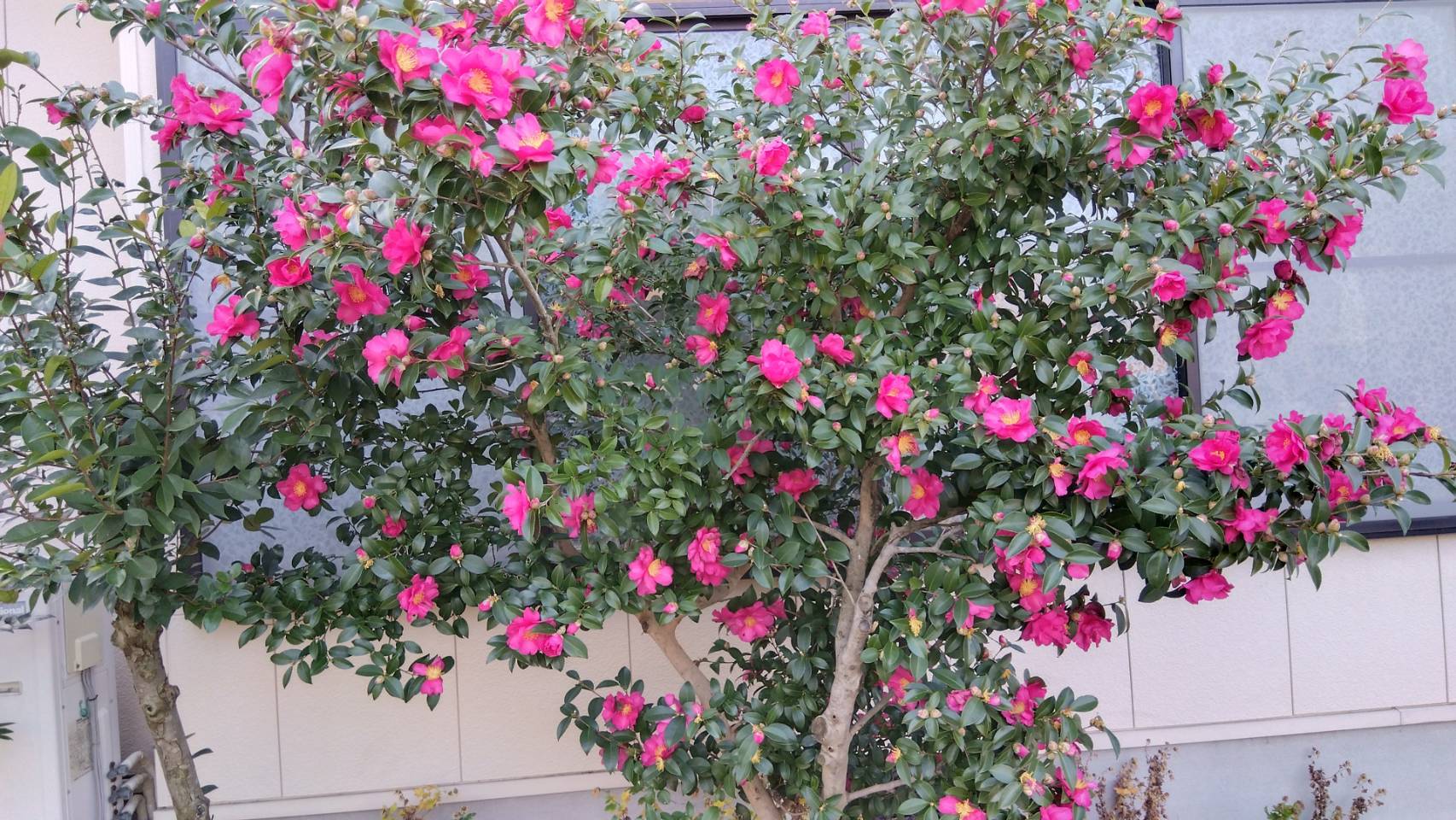 金沢のお香とアロマの香り専門店(石川県金沢市)・金沢観光地・金沢の観光スポット武家屋敷跡近く・人気でおすすめのお土産処-お香専門店のアロマ香房焚屋