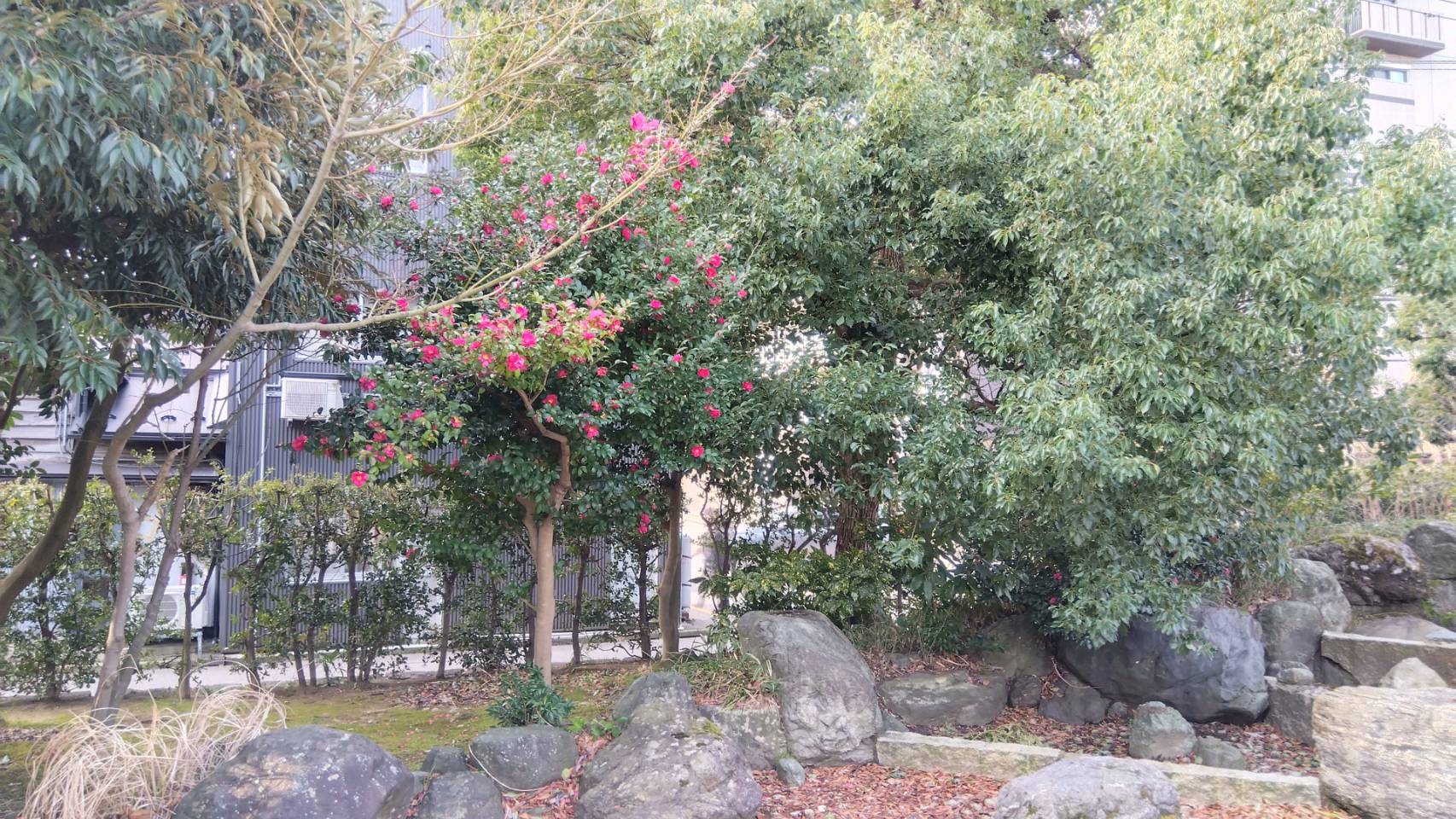 金沢のお香とアロマの香り専門店(石川県金沢市)・金沢観光地・金沢の観光スポット武家屋敷跡近く・人気でおすすめのお土産処-お香専門店のアロマ香房焚屋