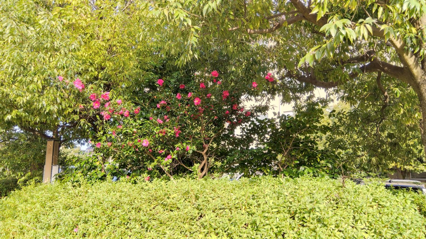 金沢のお香とアロマの香り専門店(石川県金沢市)・金沢観光地・金沢の観光スポット武家屋敷跡近く・人気でおすすめのお土産処-お香専門店のアロマ香房焚屋