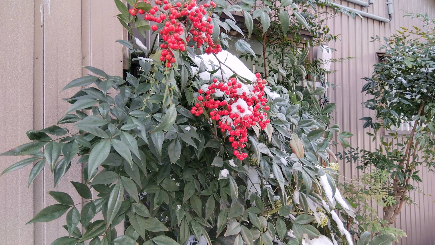 金沢のお香とアロマの香り専門店(石川県金沢市)・金沢観光地・金沢の観光スポット武家屋敷跡近く・人気でおすすめのお土産処-お香専門店のアロマ香房焚屋