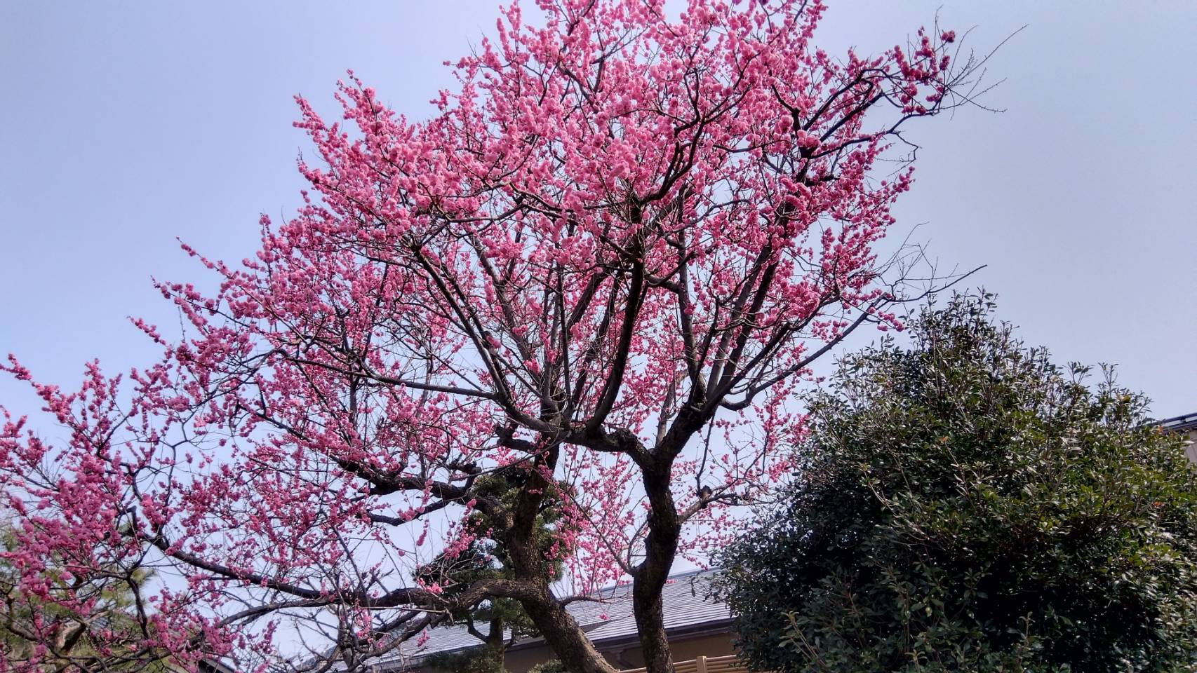 金沢のお香とアロマの香り専門店(石川県金沢市)・金沢観光地・金沢の観光スポット武家屋敷跡近く・人気でおすすめのお土産処-お香専門店のアロマ香房焚屋