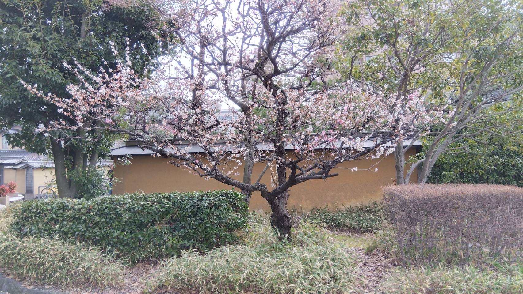 金沢のお香とアロマの香り専門店(石川県金沢市)・金沢観光地・金沢の観光スポット武家屋敷跡近く・人気でおすすめのお土産処-お香専門店のアロマ香房焚屋