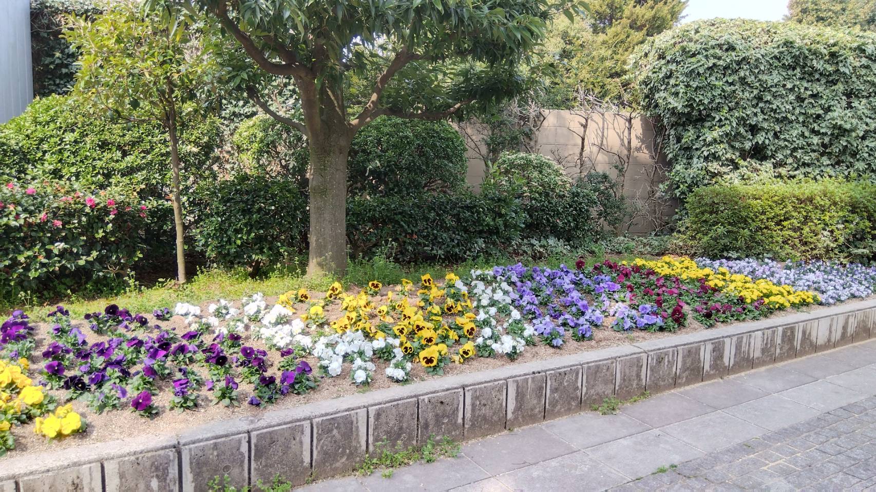 金沢のお香とアロマの香り専門店(石川県金沢市)・金沢観光地・金沢の観光スポット武家屋敷跡近く・人気でおすすめのお土産処-お香専門店のアロマ香房焚屋