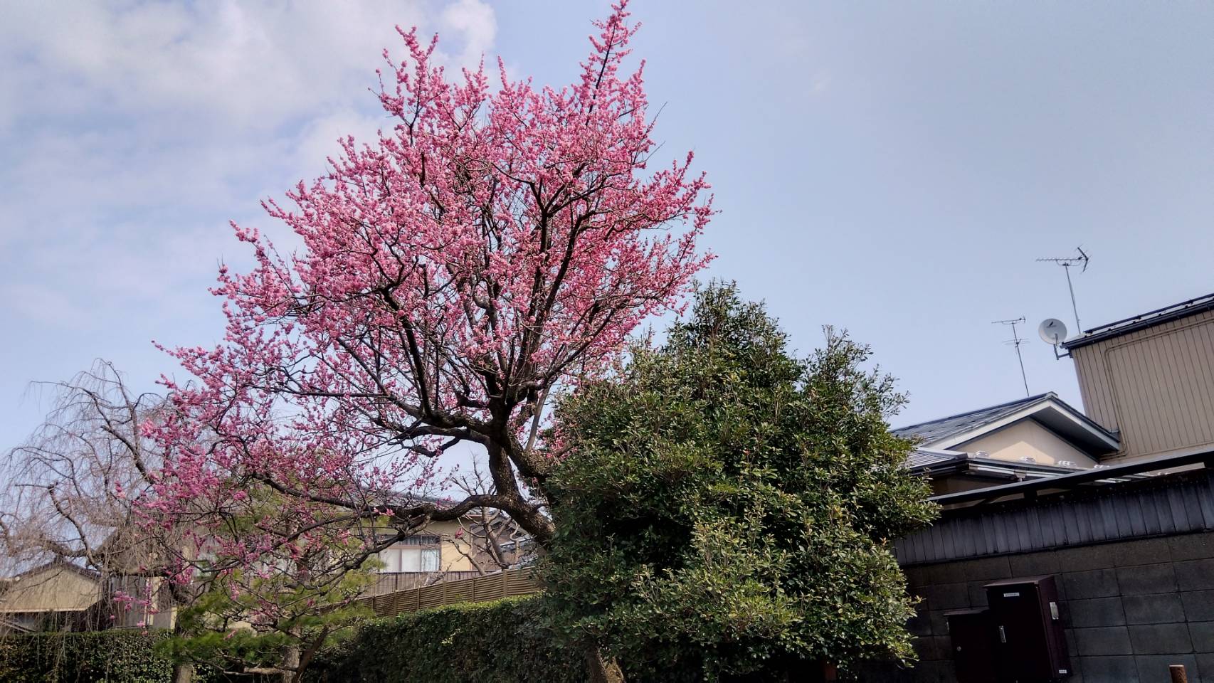 金沢のお香とアロマの香り専門店(石川県金沢市)・金沢観光地・金沢の観光スポット武家屋敷跡近く・人気でおすすめのお土産処-お香専門店のアロマ香房焚屋