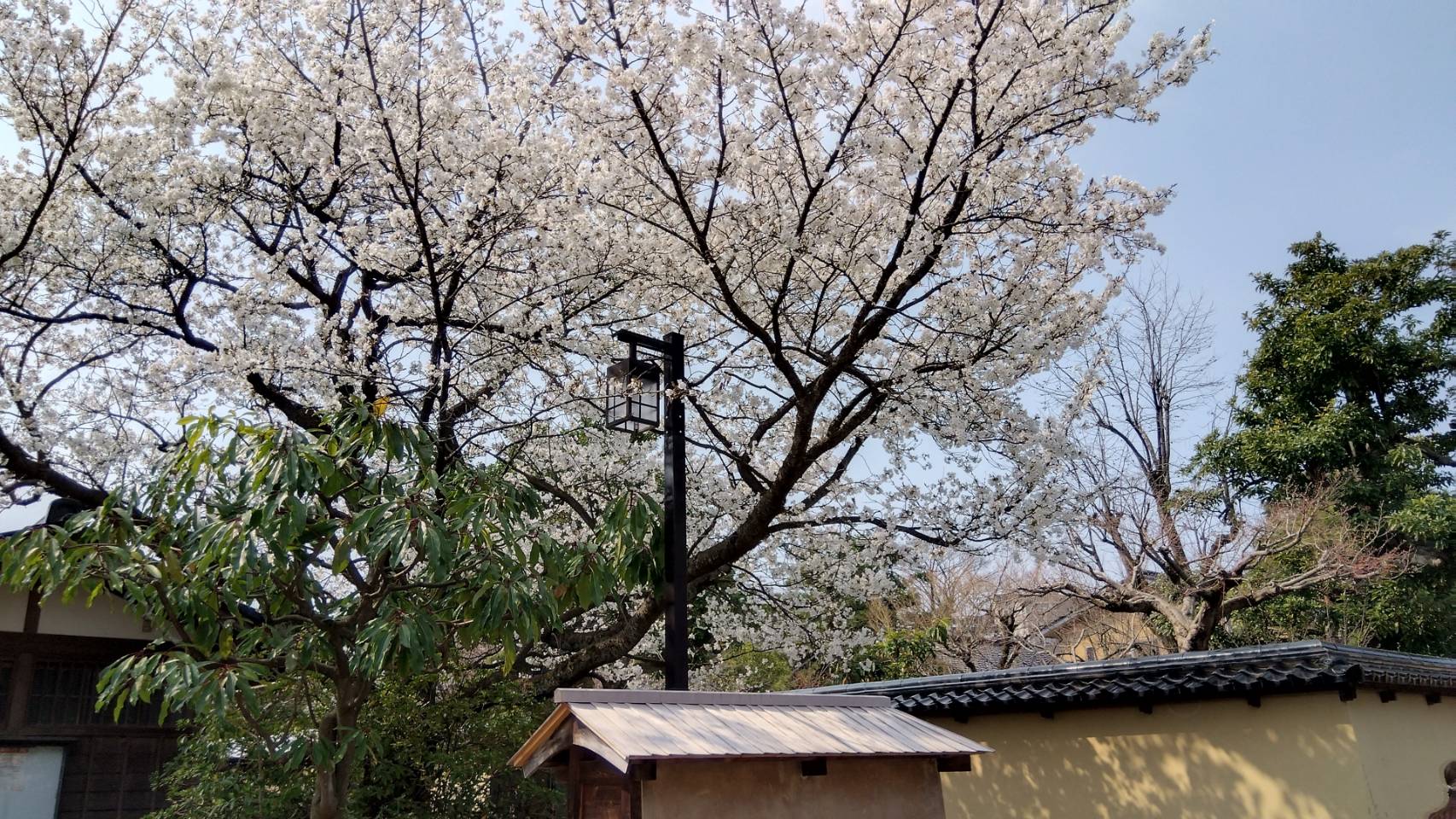 金沢のお香とアロマの香り専門店(石川県金沢市)・金沢観光地・金沢の観光スポット武家屋敷跡近く・人気でおすすめのお土産処-お香専門店のアロマ香房焚屋