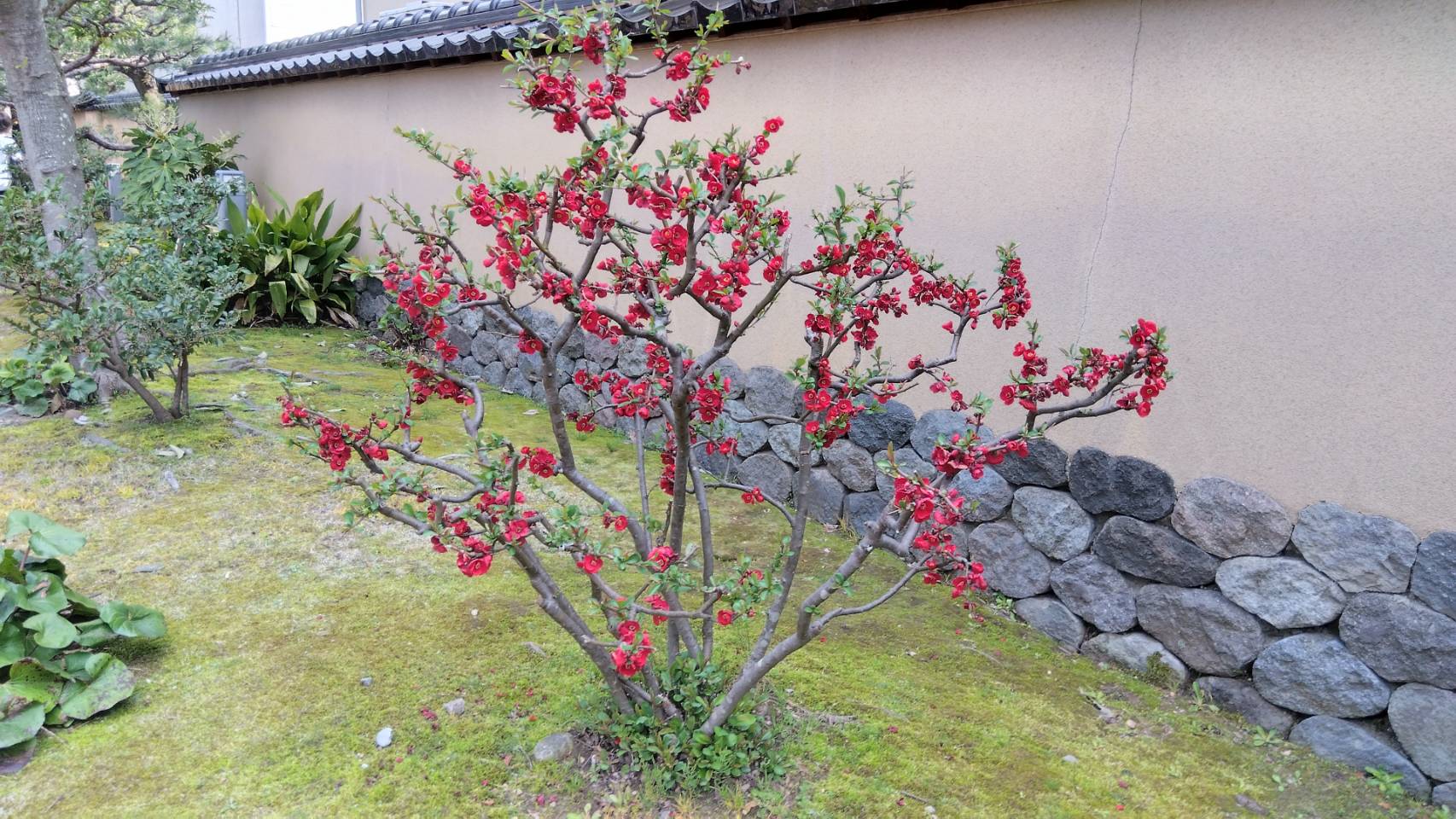 金沢のお香とアロマの香り専門店(石川県金沢市)・金沢観光地・金沢の観光スポット武家屋敷跡近く・人気でおすすめのお土産処-お香専門店のアロマ香房焚屋