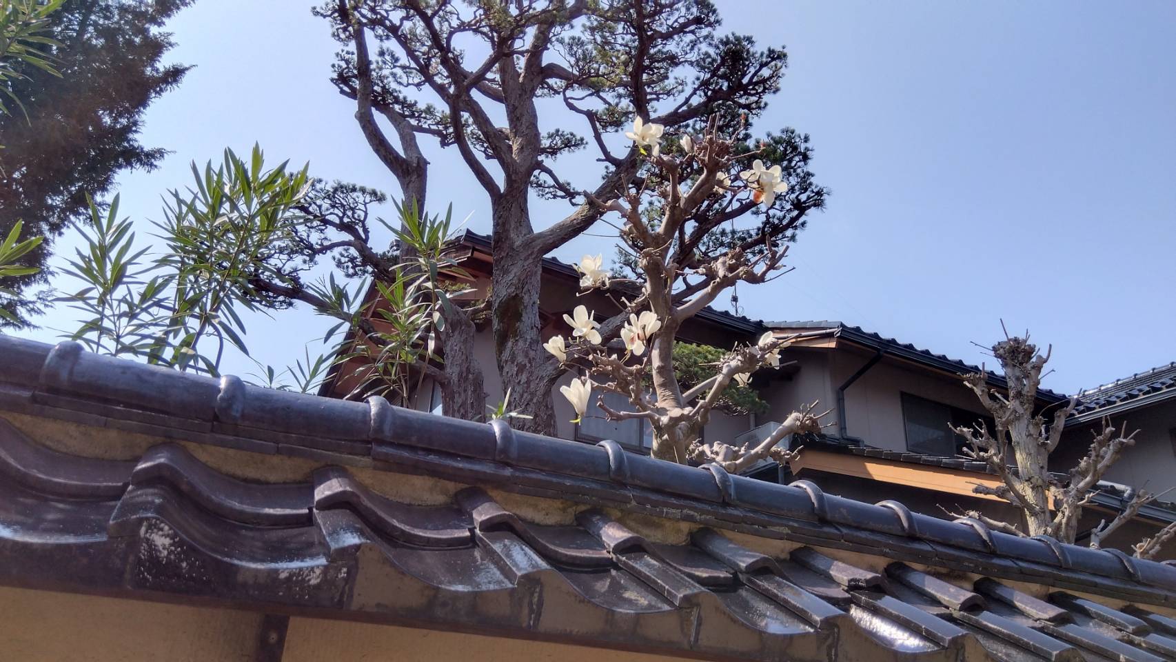 金沢のお香とアロマの香り専門店(石川県金沢市)・金沢観光地・金沢の観光スポット武家屋敷跡近く・人気でおすすめのお土産処-お香専門店のアロマ香房焚屋