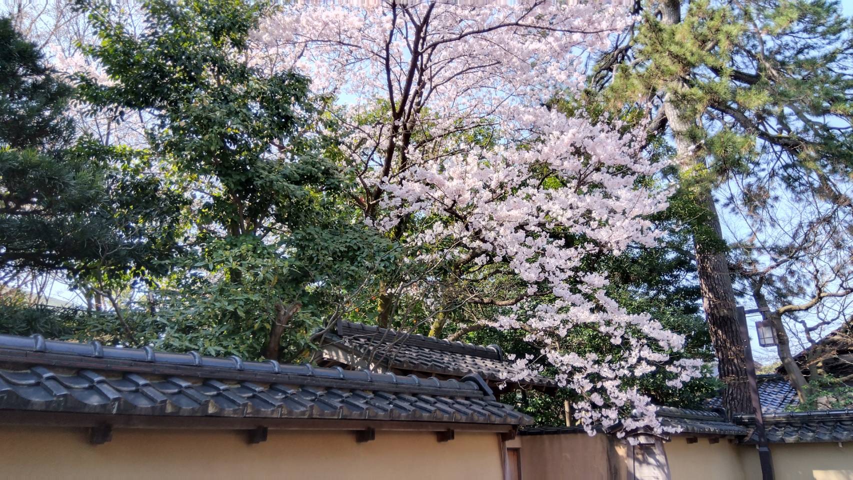 金沢のお香とアロマの香り専門店(石川県金沢市)・金沢観光地・金沢の観光スポット武家屋敷跡近く・人気でおすすめのお土産処-お香専門店のアロマ香房焚屋