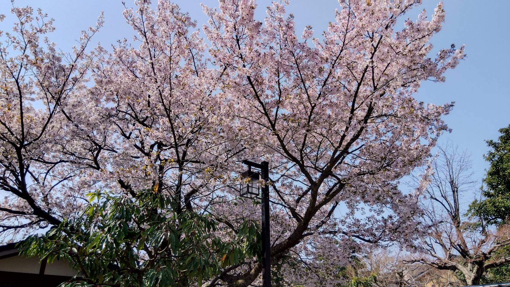 金沢のお香とアロマの香り専門店(石川県金沢市)・金沢観光地・金沢の観光スポット武家屋敷跡近く・人気でおすすめのお土産処-お香専門店のアロマ香房焚屋
