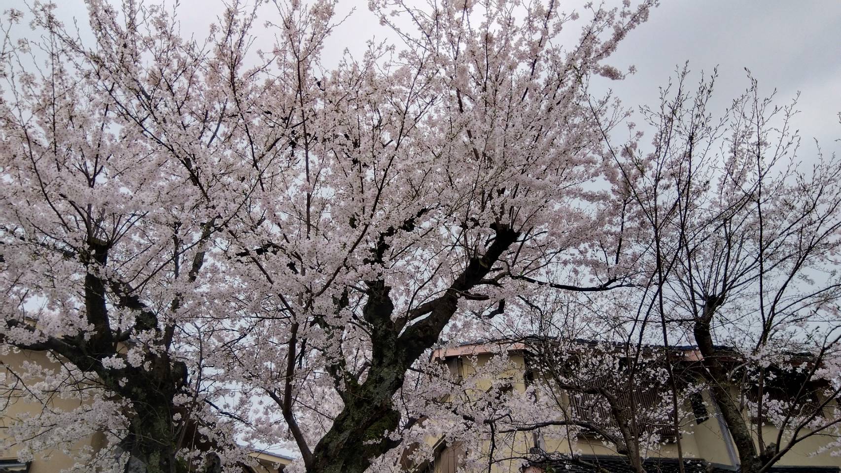 金沢のお香とアロマの香り専門店(石川県金沢市)・金沢観光地・金沢の観光スポット武家屋敷跡近く・人気でおすすめのお土産処-お香専門店のアロマ香房焚屋