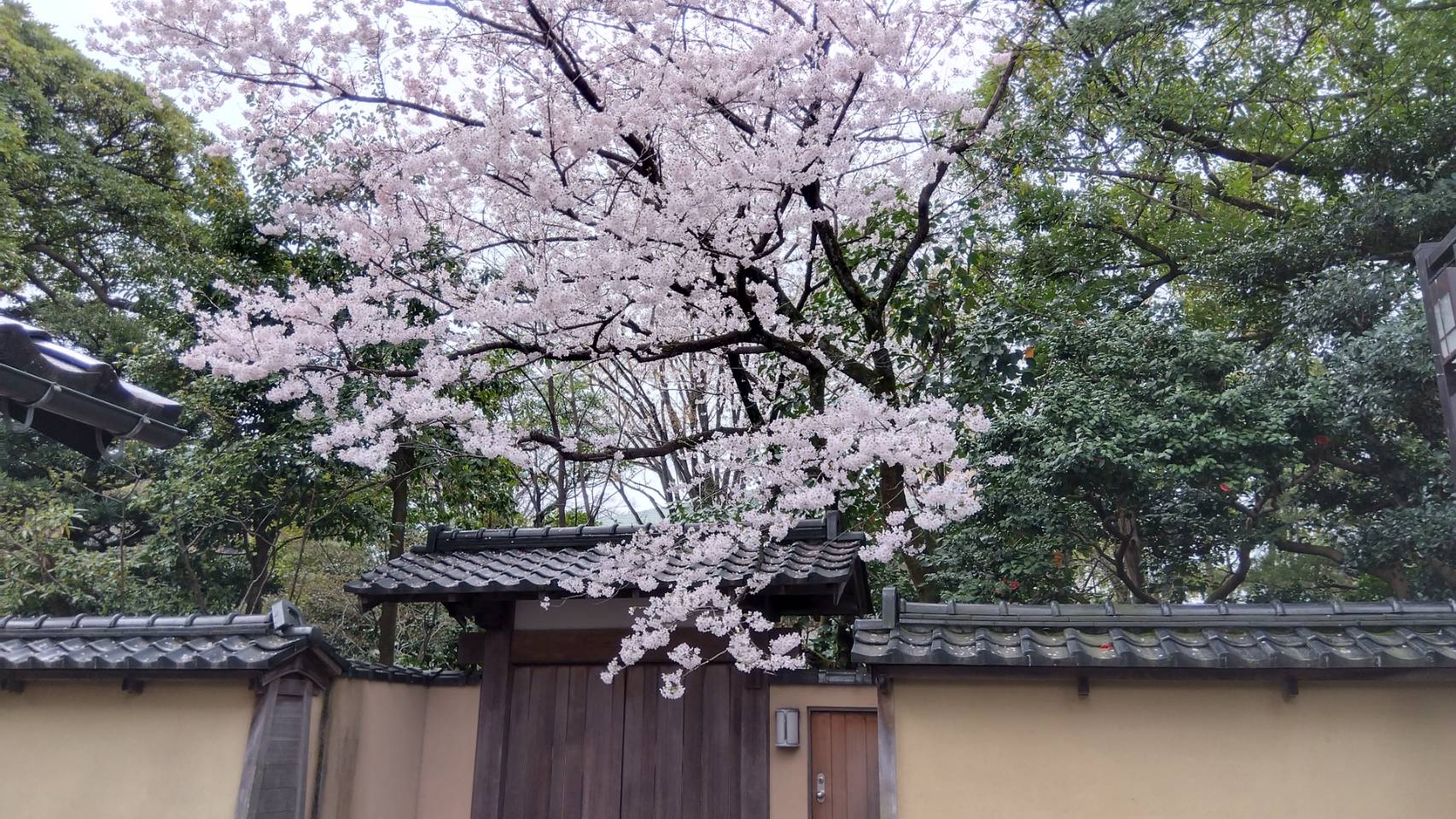 金沢のお香とアロマの香り専門店(石川県金沢市)・金沢観光地・金沢の観光スポット武家屋敷跡近く・人気でおすすめのお土産処-お香専門店のアロマ香房焚屋