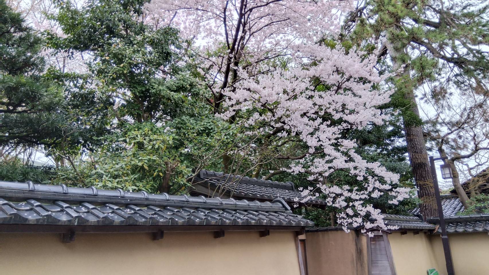 金沢のお香とアロマの香り専門店(石川県金沢市)・金沢観光地・金沢の観光スポット武家屋敷跡近く・人気でおすすめのお土産処-お香専門店のアロマ香房焚屋