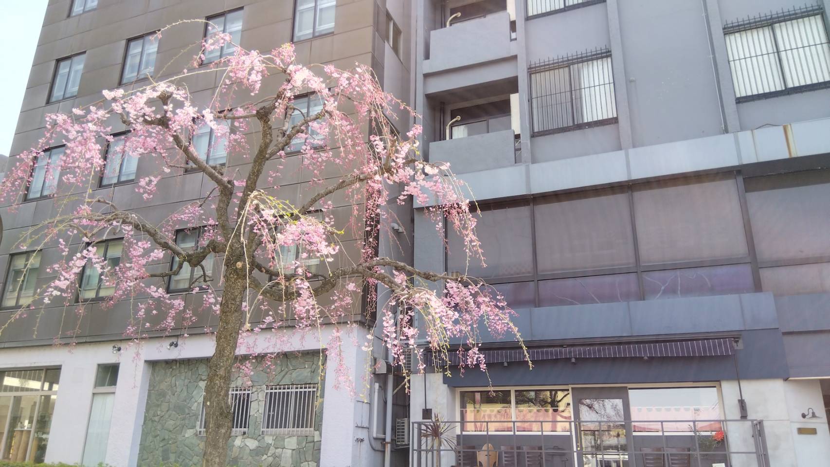 金沢のお香とアロマの香り専門店(石川県金沢市)・金沢観光地・金沢の観光スポット武家屋敷跡近く・人気でおすすめのお土産処-お香専門店のアロマ香房焚屋