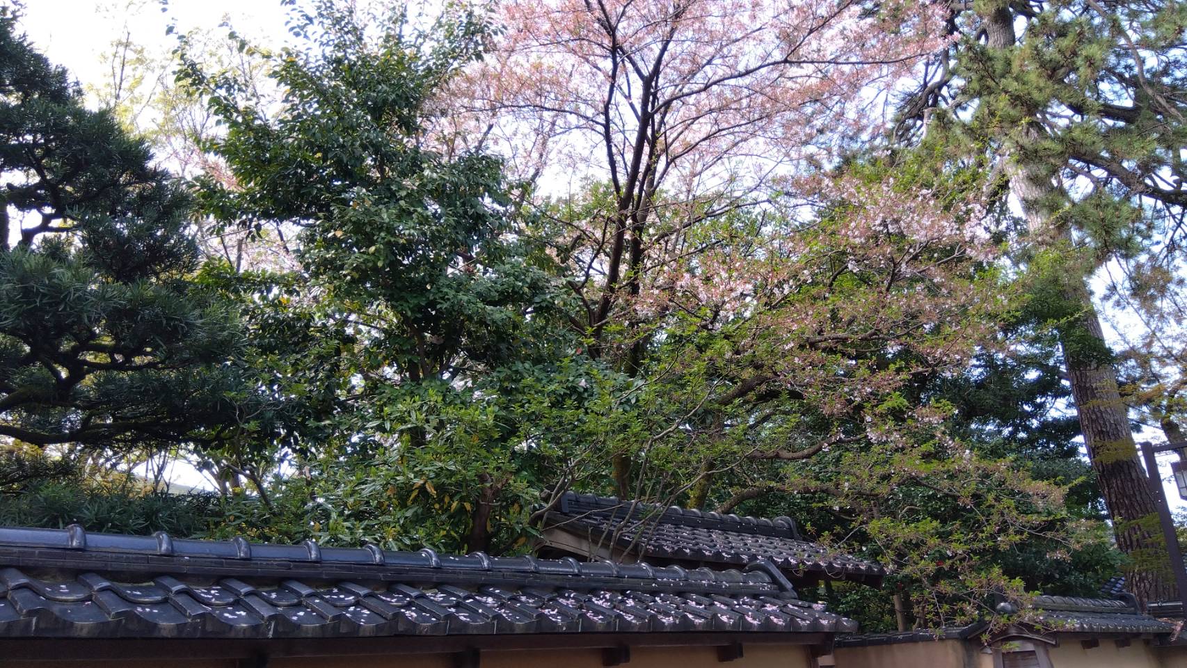 金沢のお香とアロマの香り専門店(石川県金沢市)・金沢観光地・金沢の観光スポット武家屋敷跡近く・人気でおすすめのお土産処-お香専門店のアロマ香房焚屋