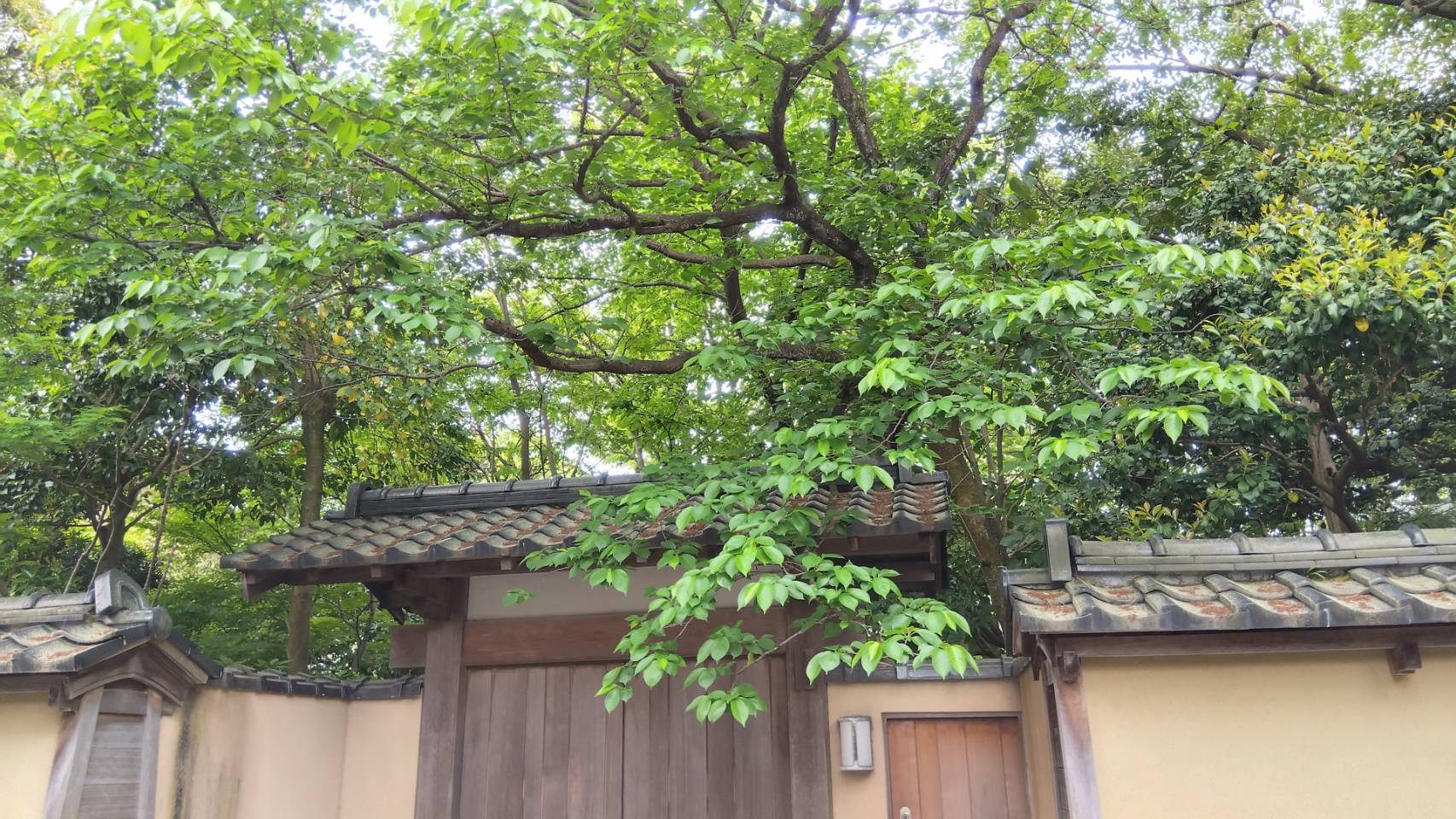金沢のお香とアロマの香り専門店(石川県金沢市)・金沢観光地・金沢の観光スポット武家屋敷跡近く・人気でおすすめのお土産処-お香専門店のアロマ香房焚屋