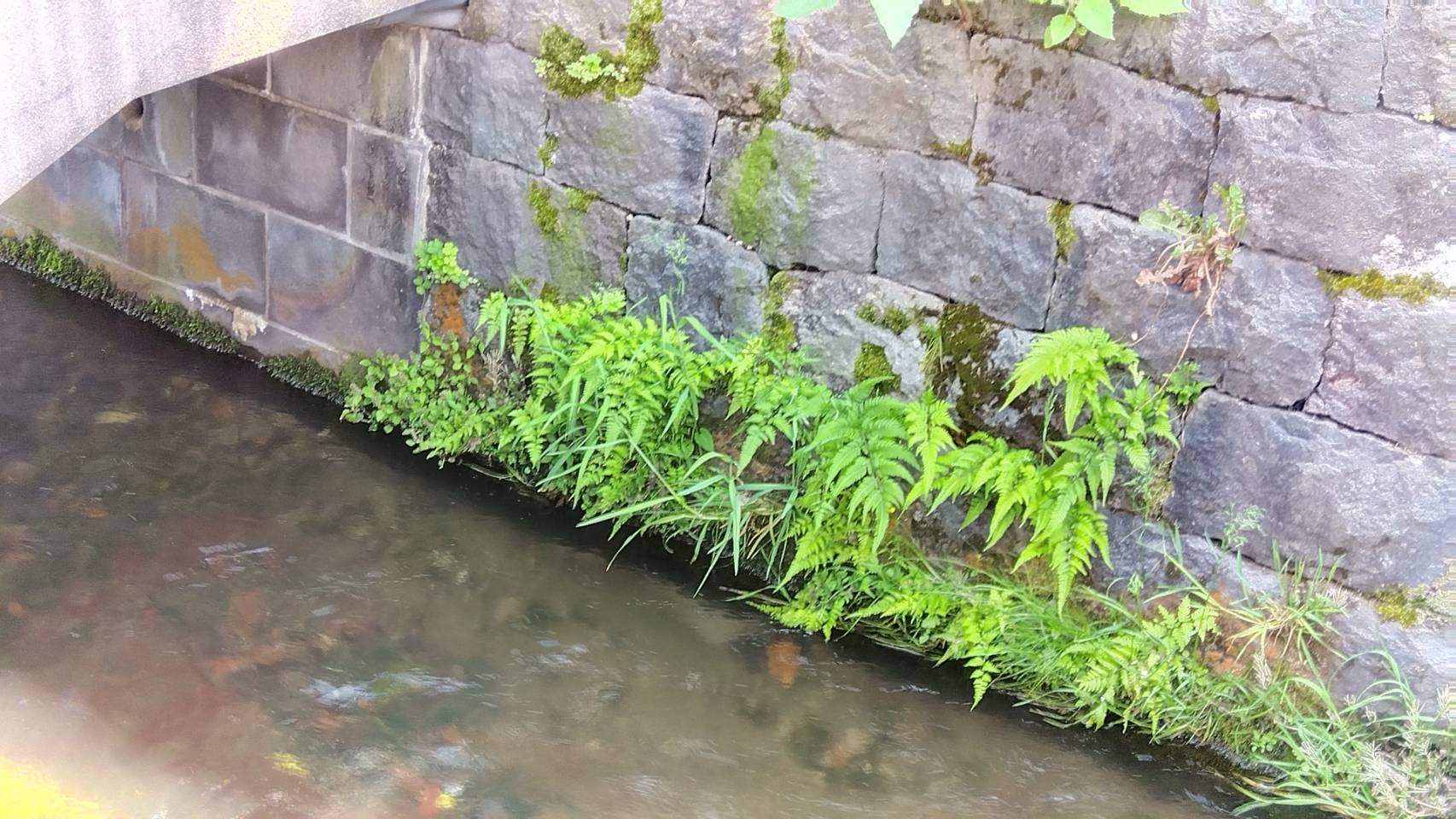 金沢のお香とアロマの香り専門店(石川県金沢市)・金沢観光地・金沢の観光スポット武家屋敷跡近く・人気でおすすめのお土産処-お香専門店のアロマ香房焚屋