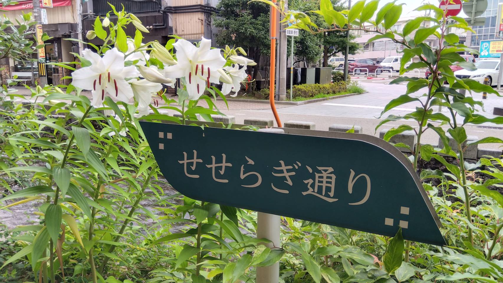 金沢のお香とアロマの香り専門店(石川県金沢市)・金沢観光地・金沢の観光スポット武家屋敷跡近く・人気でおすすめのお土産処-お香専門店のアロマ香房焚屋