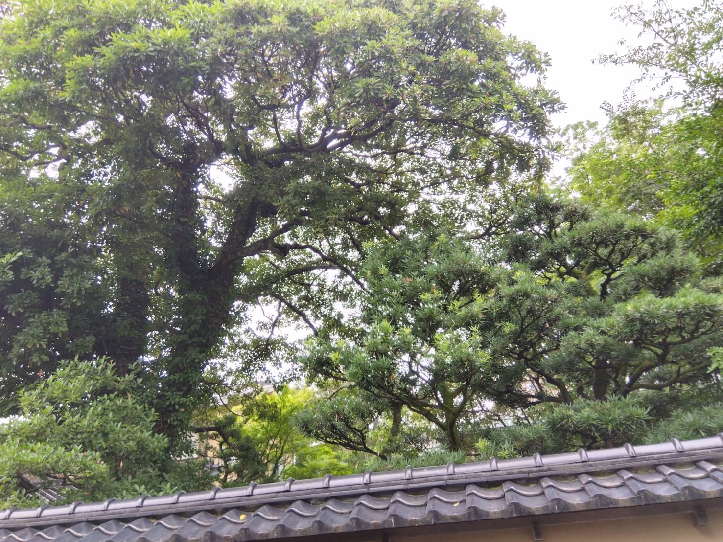 お香・専門店　金沢市｜金沢の観光地-武家屋敷跡近くのアロマ香房焚屋