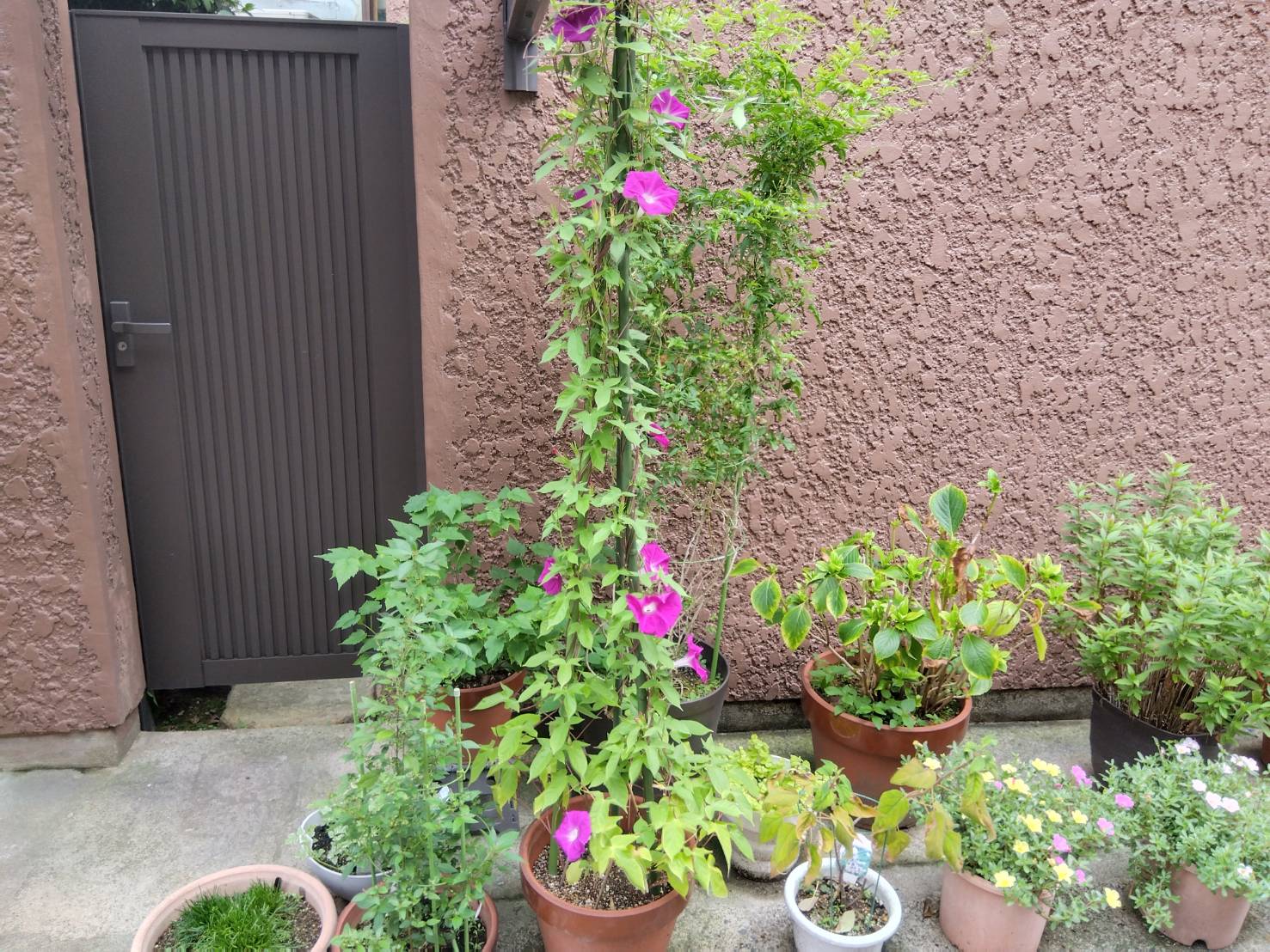 お香・専門店　金沢市｜金沢の観光地-武家屋敷跡近くのアロマ香房焚屋