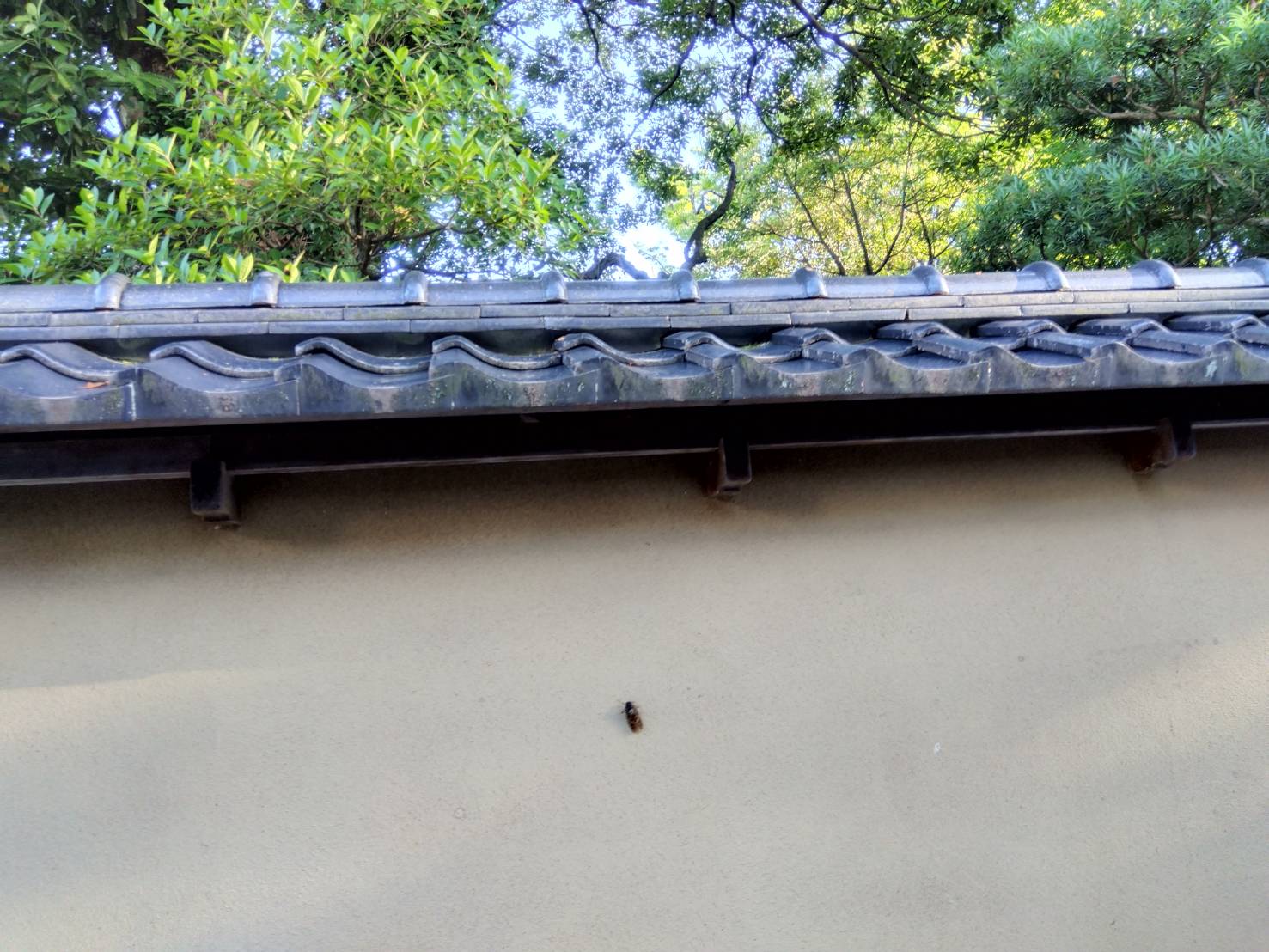 お香・専門店　金沢市｜金沢の観光地-武家屋敷跡近くのアロマ香房焚屋