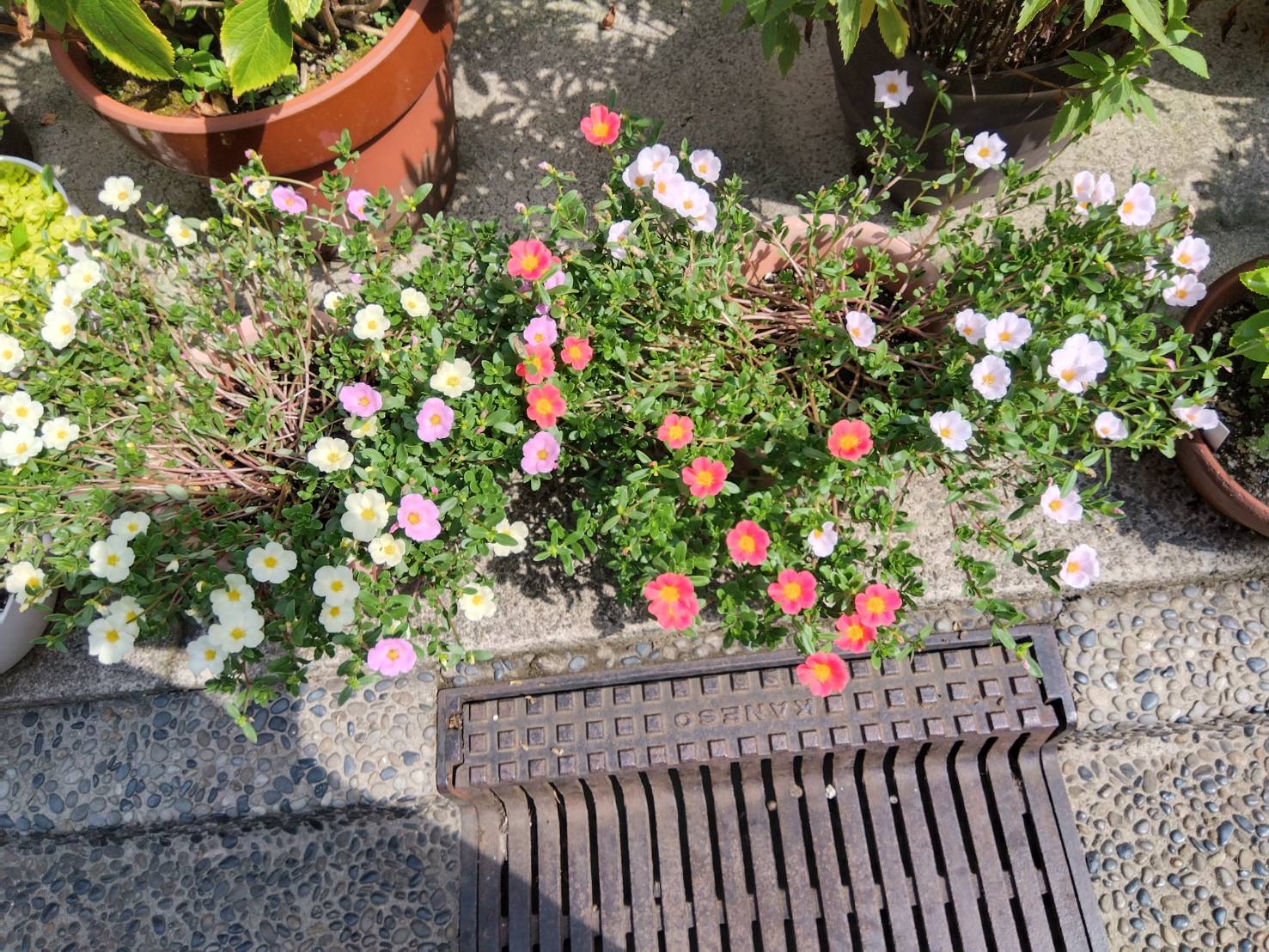 お香・専門店　金沢市｜金沢の観光地-武家屋敷跡近くのアロマ香房焚屋