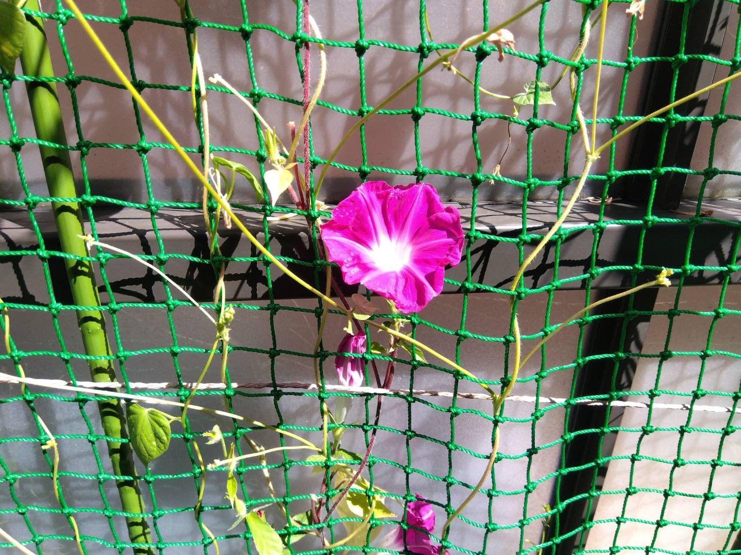 お香・専門店 金沢市|金沢の観光地-武家屋敷跡近くのアロマ香房焚屋