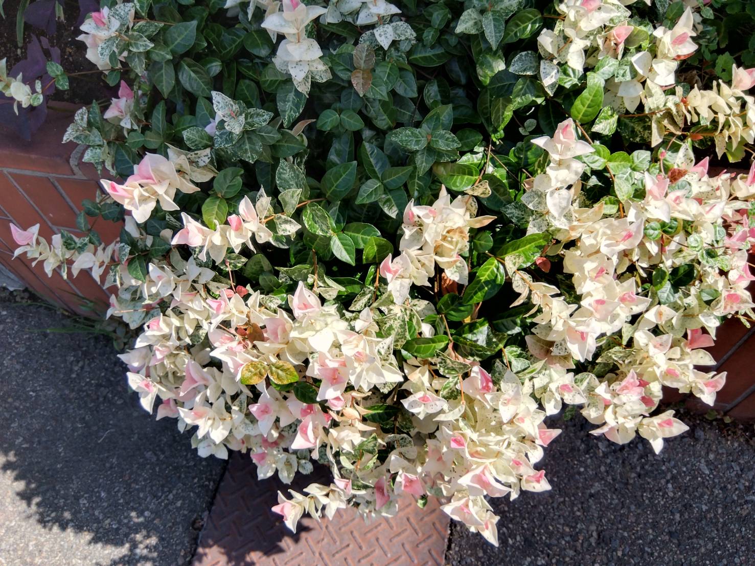 お香・専門店　金沢市｜金沢の観光地-武家屋敷跡近くのアロマ香房焚屋