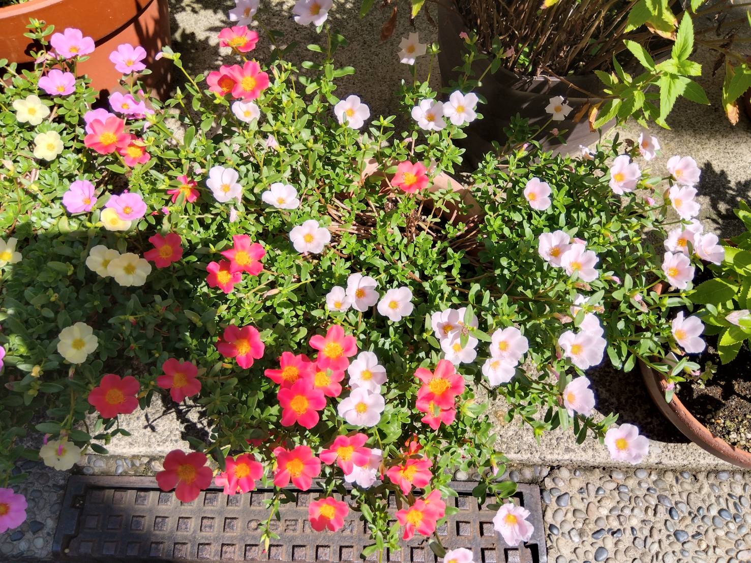 お香・専門店　金沢市｜金沢の観光地-武家屋敷跡近くのアロマ香房焚屋