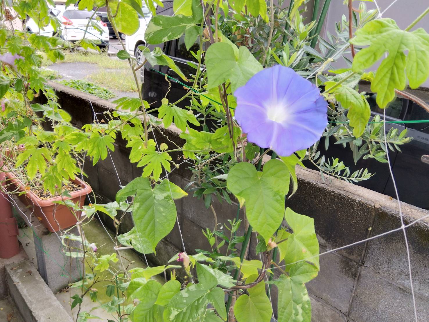 お香・専門店　金沢市｜金沢の観光地-武家屋敷跡近くのアロマ香房焚屋