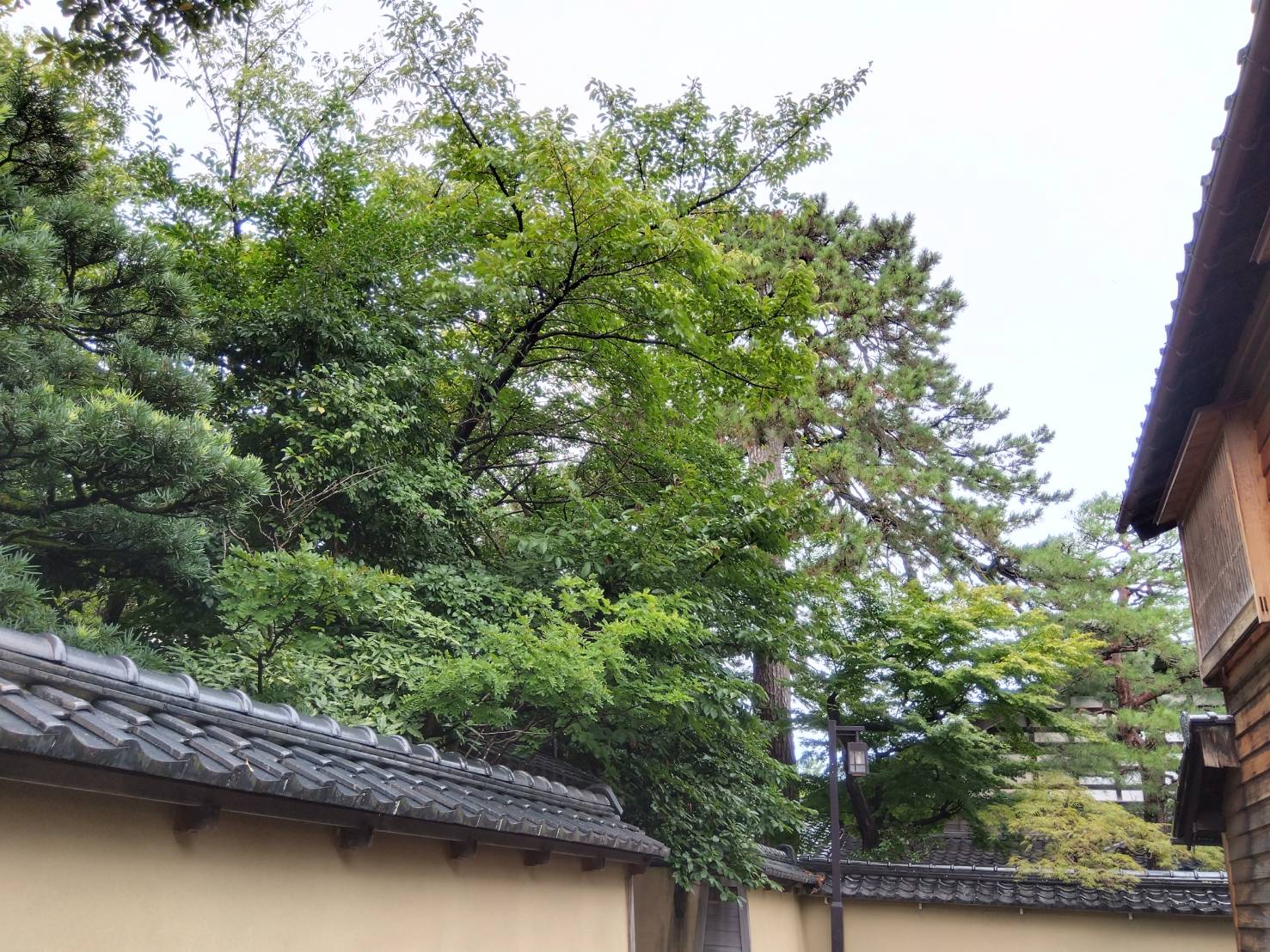 お香・専門店 金沢市|金沢の観光地-武家屋敷跡近くのアロマ香房焚屋