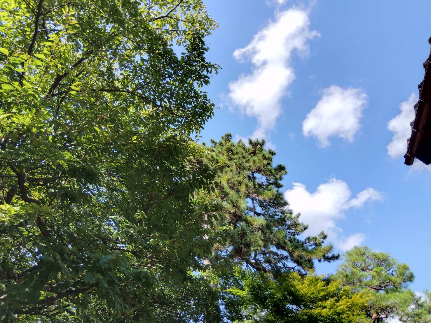 お香・専門店　金沢市｜金沢の観光地-武家屋敷跡近くのアロマ香房焚屋