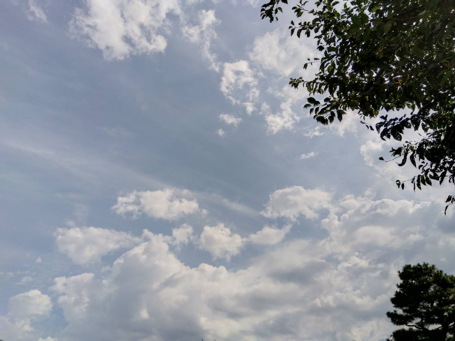 お香・専門店　金沢市｜金沢の観光地-武家屋敷跡近くのアロマ香房焚屋