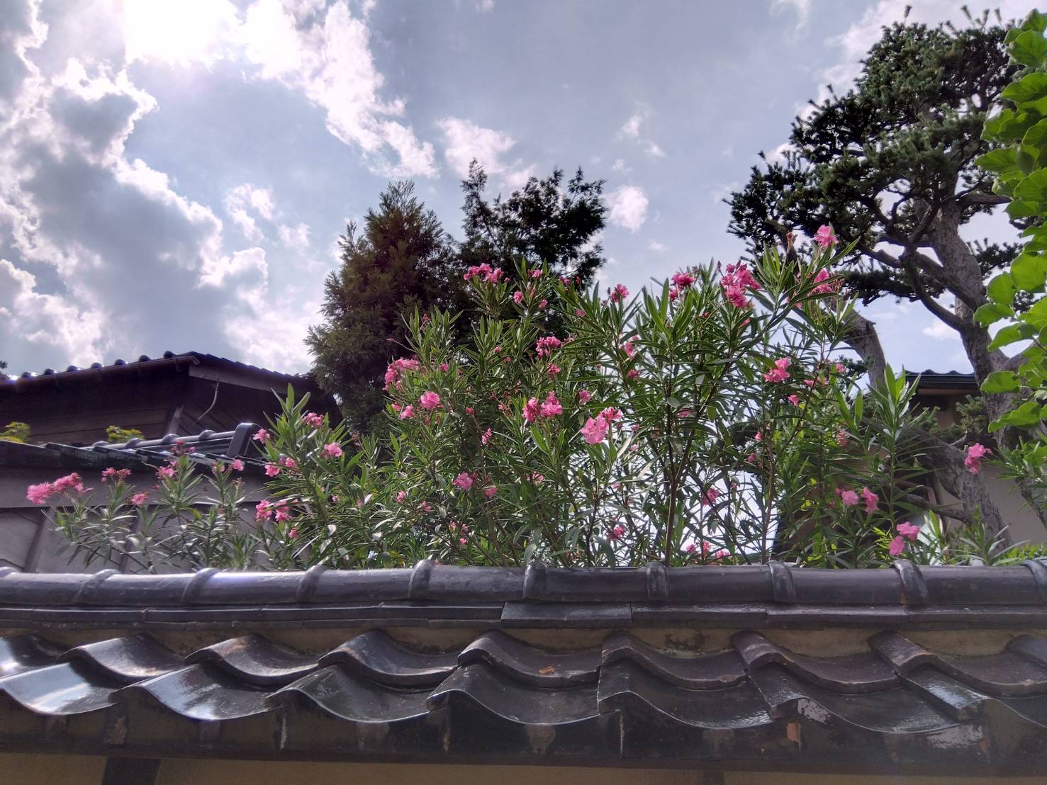 お香・専門店　金沢市｜金沢の観光地-武家屋敷跡近くのアロマ香房焚屋