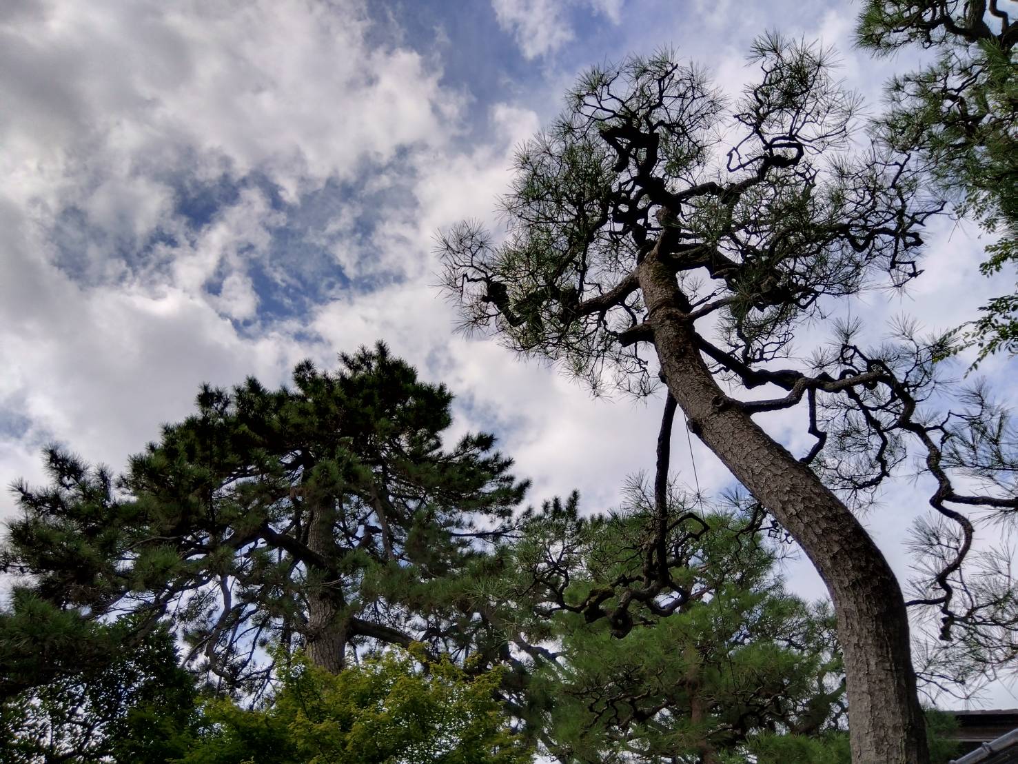 お香・専門店 金沢市|金沢の観光地-武家屋敷跡近くのアロマ香房焚屋