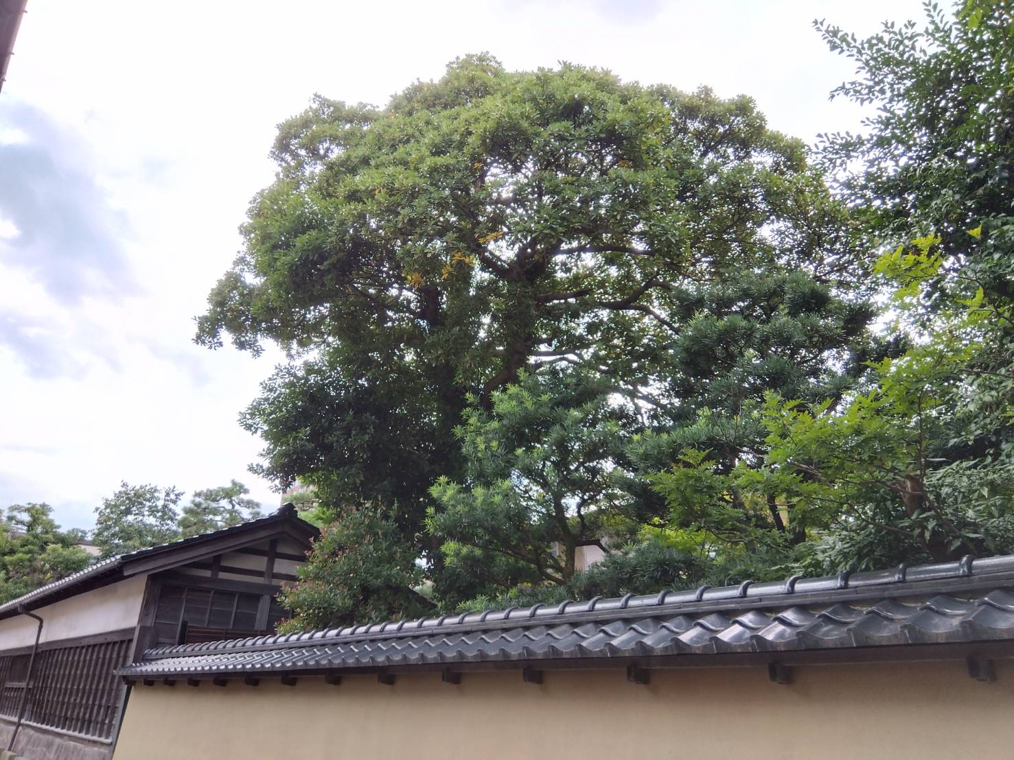 お香・専門店 金沢市|金沢の観光地-武家屋敷跡近くのアロマ香房焚屋