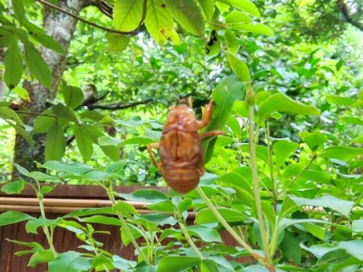 お香・専門店 金沢市|金沢の観光地-武家屋敷跡近くのアロマ香房焚屋