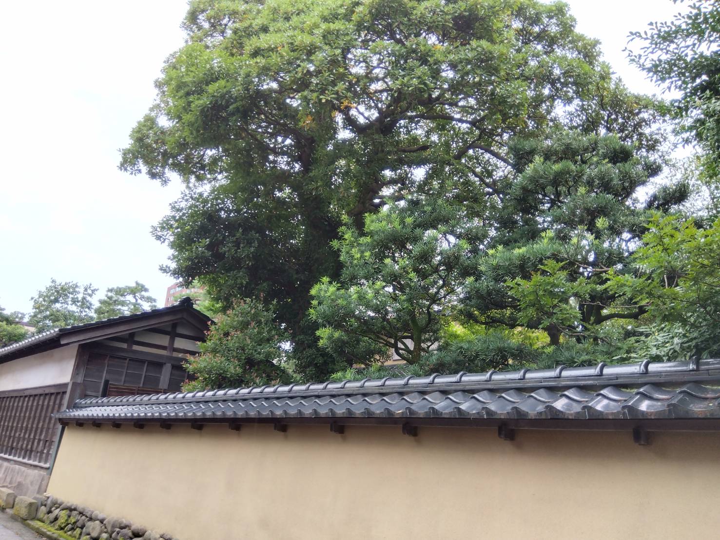 お香・専門店　金沢市｜金沢の観光地-武家屋敷跡近くのアロマ香房焚屋