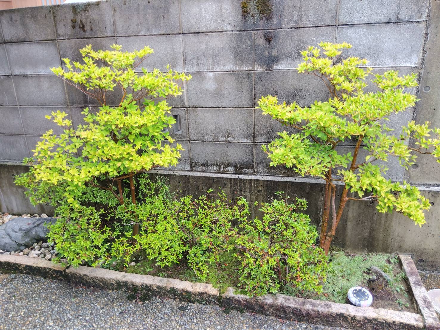 お香・専門店　金沢市｜金沢の観光地-武家屋敷跡近くのアロマ香房焚屋