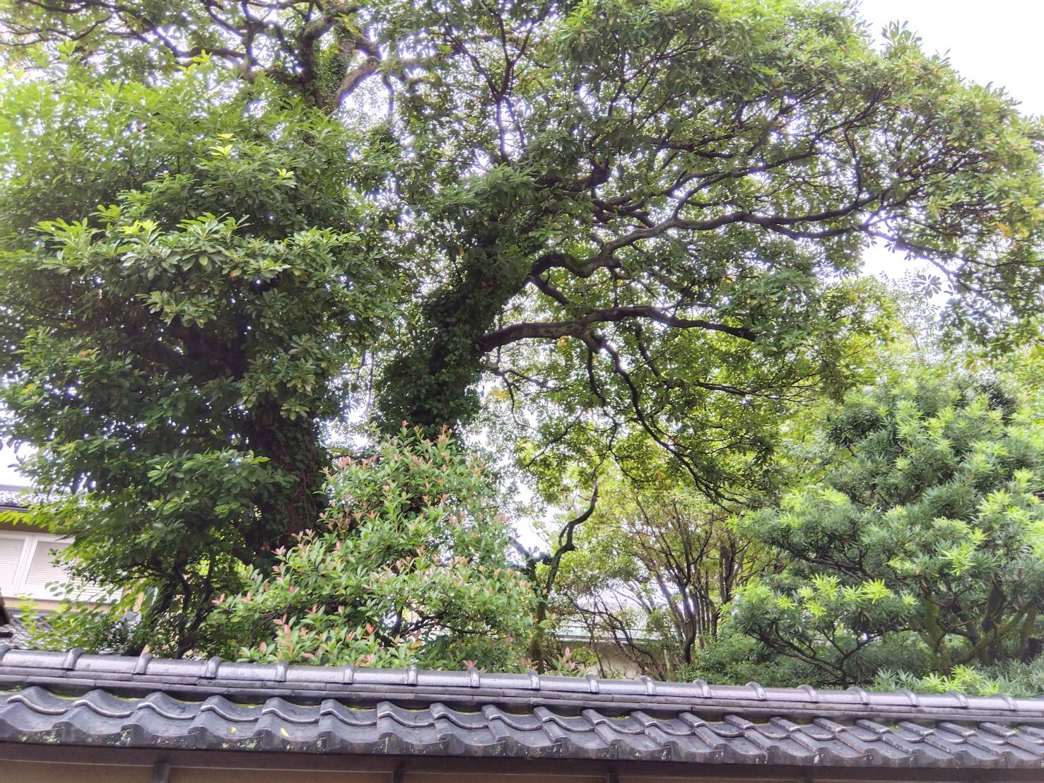 お香・専門店　金沢市｜金沢の観光地-武家屋敷跡近くのアロマ香房焚屋