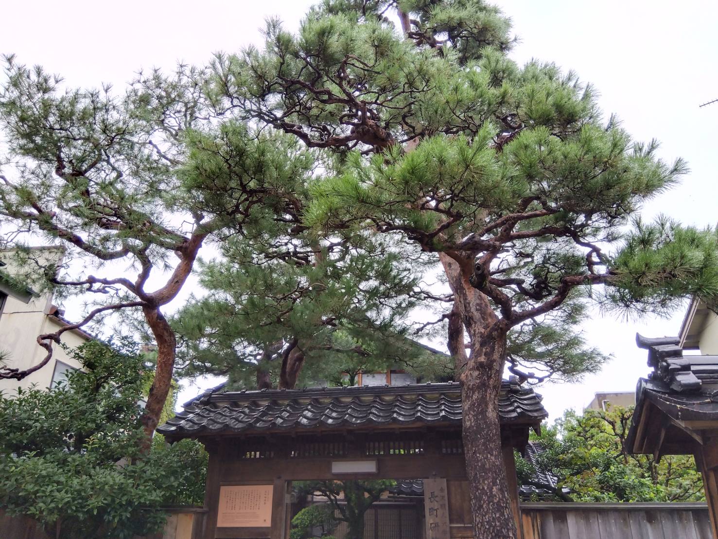 お香・専門店　金沢市｜金沢の観光地-武家屋敷跡近くのアロマ香房焚屋