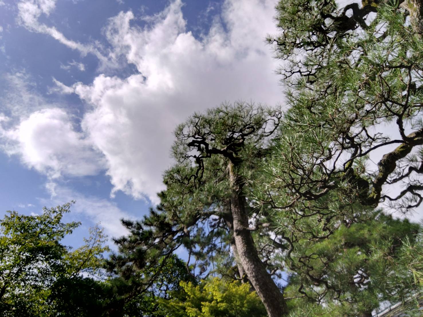 お香・専門店　金沢市｜金沢の観光地-武家屋敷跡近くのアロマ香房焚屋