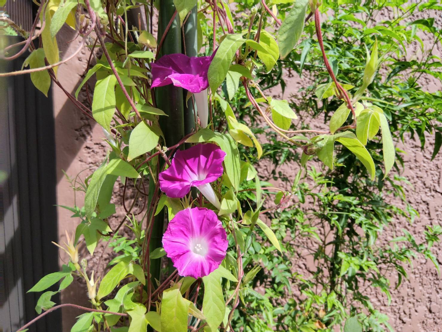 金沢のお香とアロマの香り専門店(石川県金沢市)・金沢観光地・金沢の観光スポット武家屋敷跡近く・お土産処-お香専門店のアロマ香房焚屋
