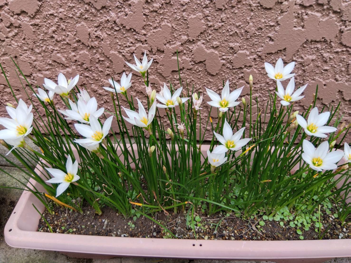 金沢のお香とアロマの香り専門店(石川県金沢市)・金沢観光地・金沢の観光スポット武家屋敷跡近く・お土産処-お香専門店のアロマ香房焚屋