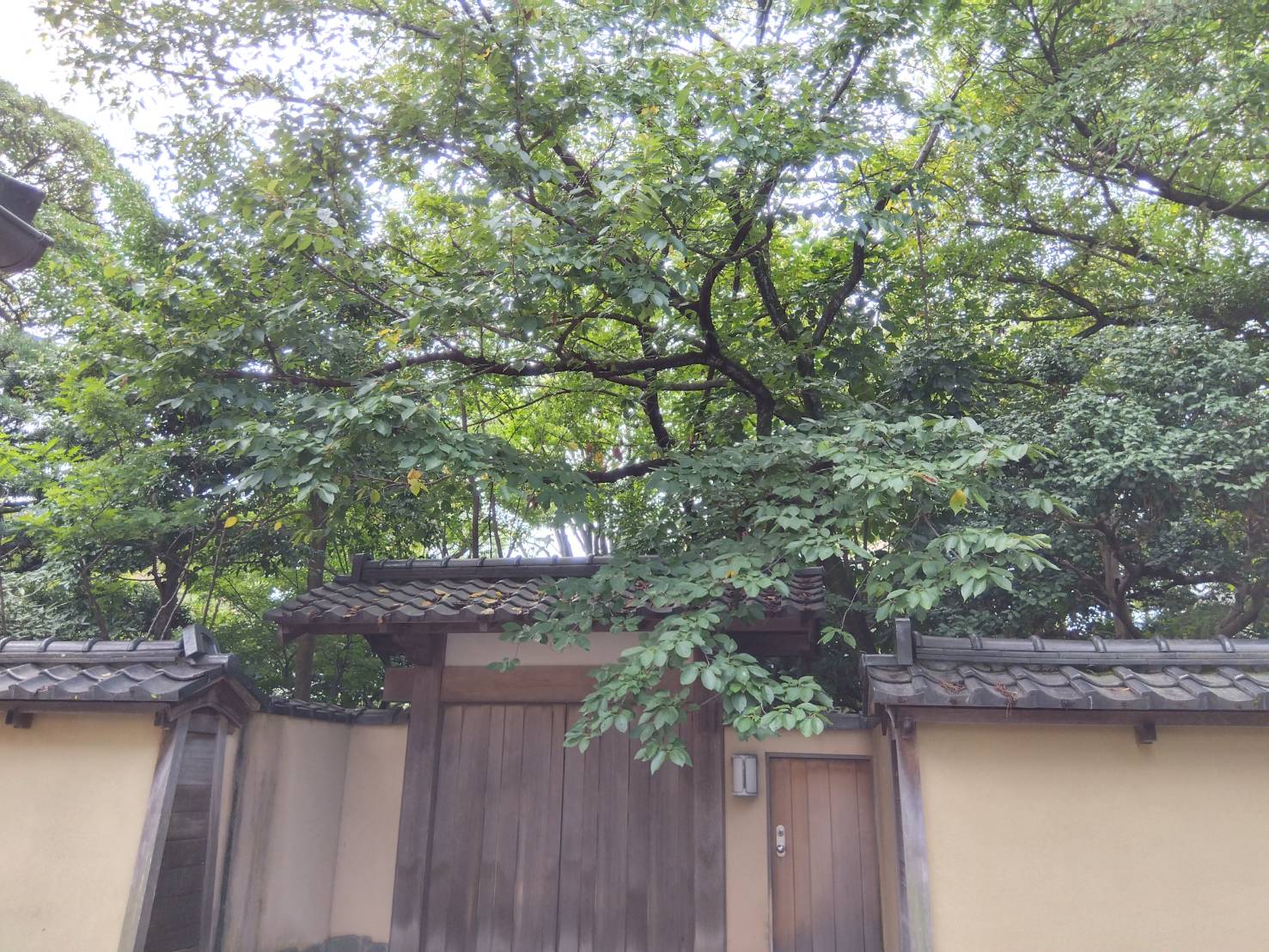 金沢のお香とアロマの香り専門店(石川県金沢市)・金沢観光地・金沢の観光スポット武家屋敷跡近く・お土産処-お香専門店のアロマ香房焚屋