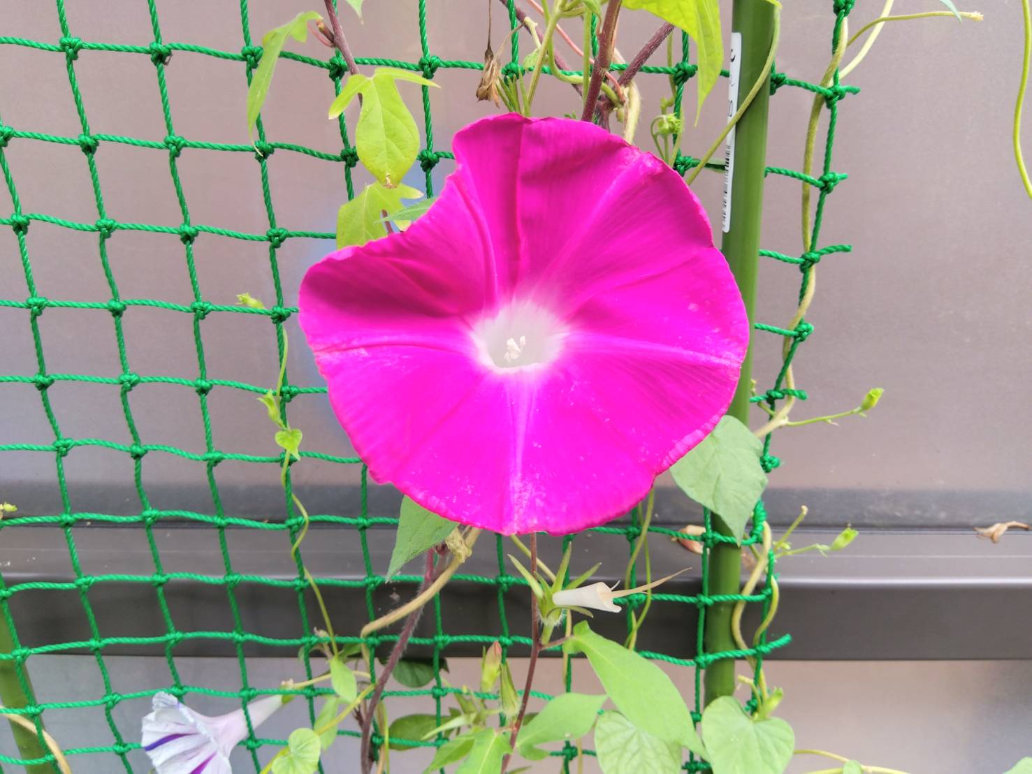 金沢のお香とアロマの香り専門店(石川県金沢市)・金沢観光地・金沢の観光スポット武家屋敷跡近く・お土産処-お香専門店のアロマ香房焚屋