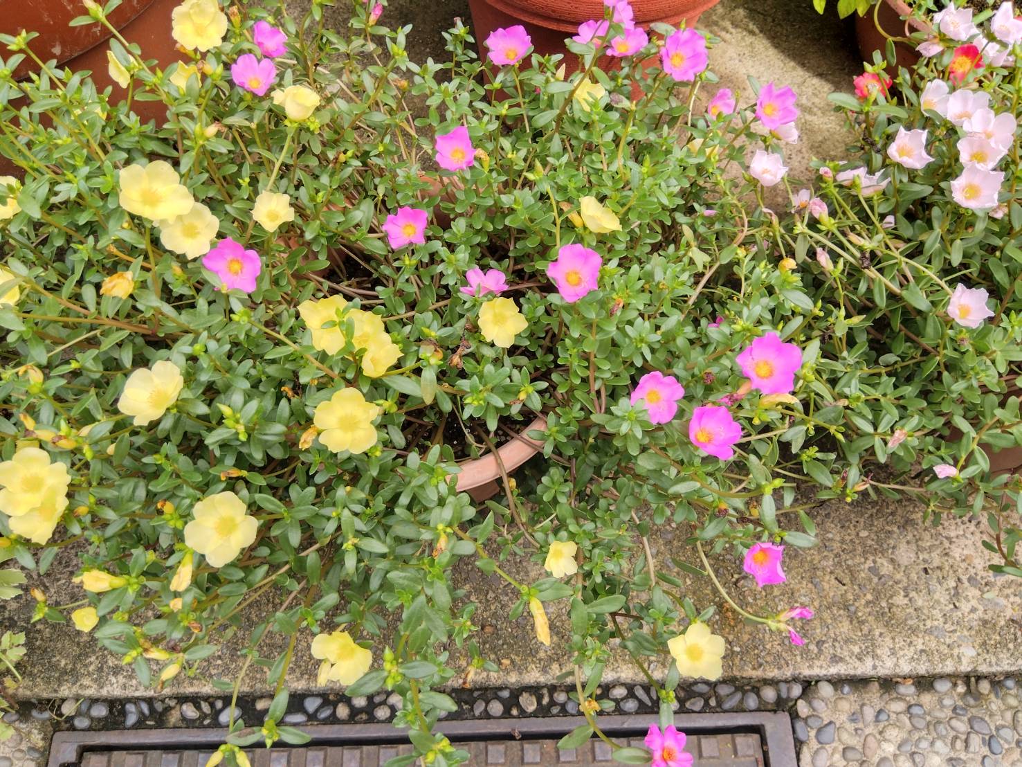 金沢のお香とアロマの香り専門店(石川県金沢市)・金沢観光地・金沢の観光スポット武家屋敷跡近く・お土産処-お香専門店のアロマ香房焚屋