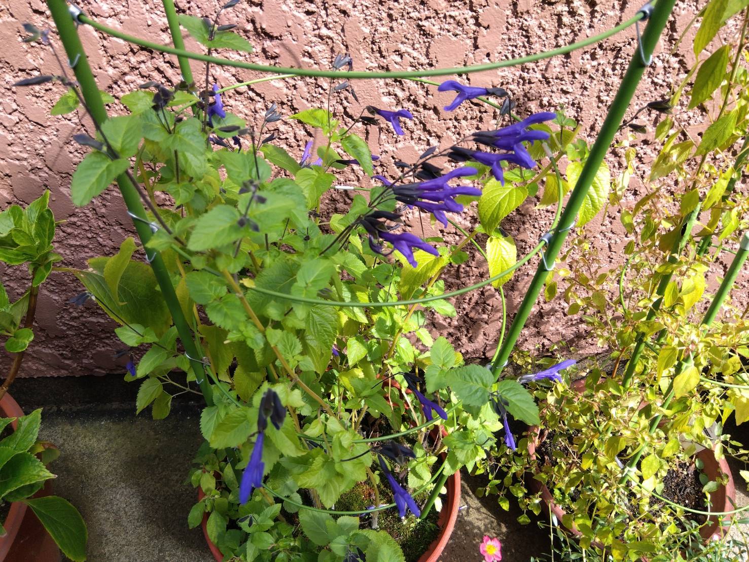 金沢のお香とアロマの香り専門店(石川県金沢市)・金沢観光地・金沢の観光スポット武家屋敷跡近く・人気でおすすめのお土産処-お香専門店のアロマ香房焚屋